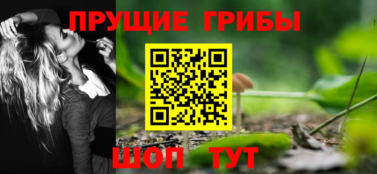 Псилоцибиновые грибы GOLDEN TEACHER Балашов